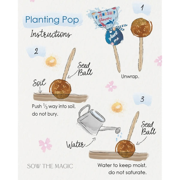 Garden + Gift Seed Planting Pop (Choose Your Flowers) - The Glass Hall - Sow the Magic