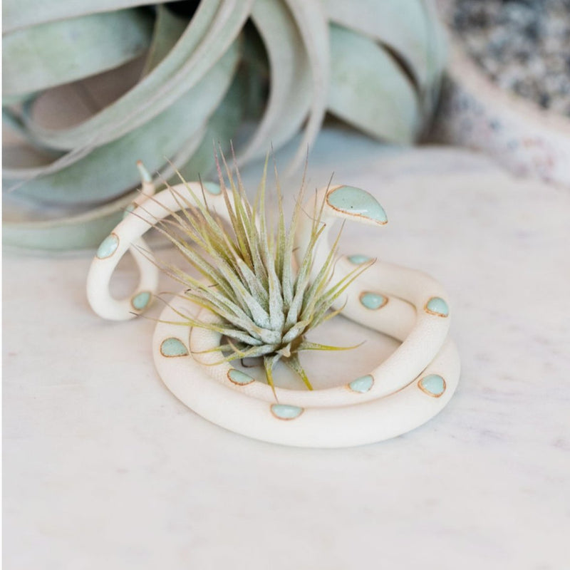 Medium Ceramic Snake w/ Airplant (Choose Your Style) - The Glass Hall - Carter & Rose