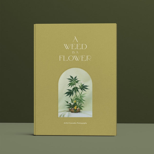 A Weed is a Flower Book - The Glass Hall - Broccoli