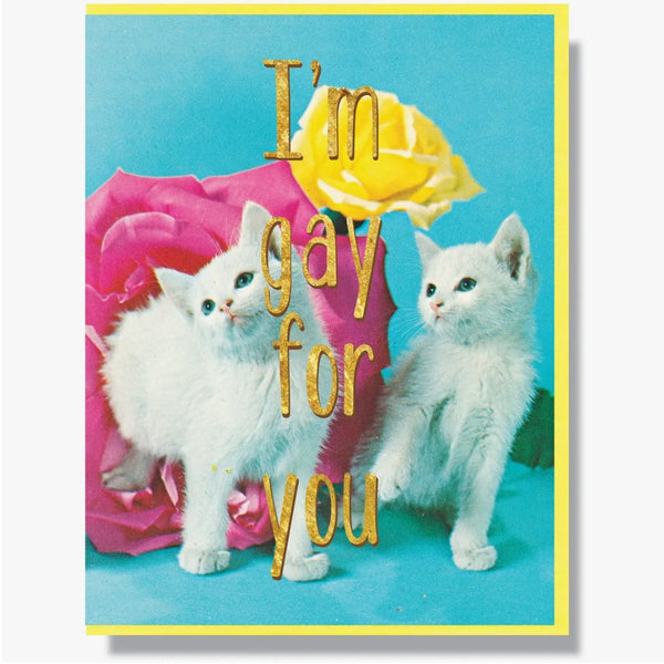 I'm Gay for You Card - The Glass Hall - Smitten Kitten
