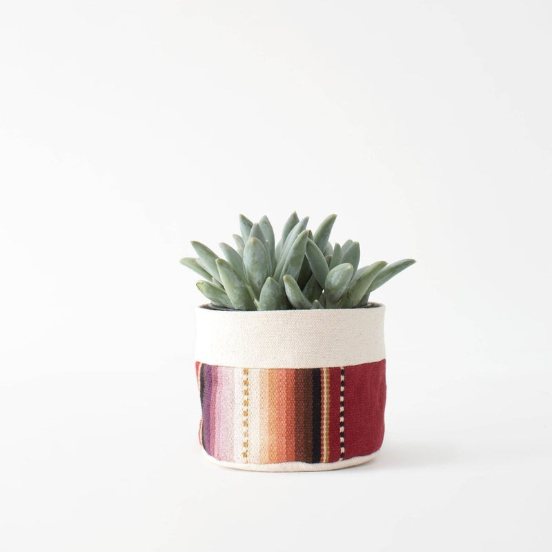 Sitting Canvas Planters (Choose Your Style) - The Glass Hall - Good Company Wares