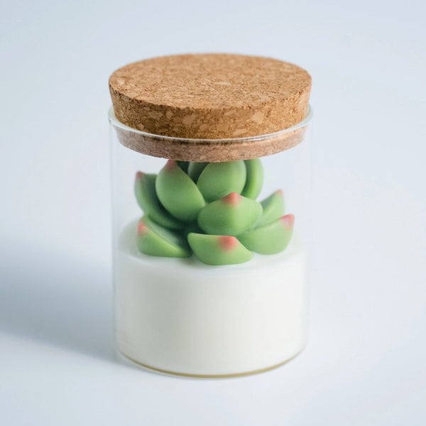 Succulent Candle | Soy Blend - The Glass Hall - ZoetStudio